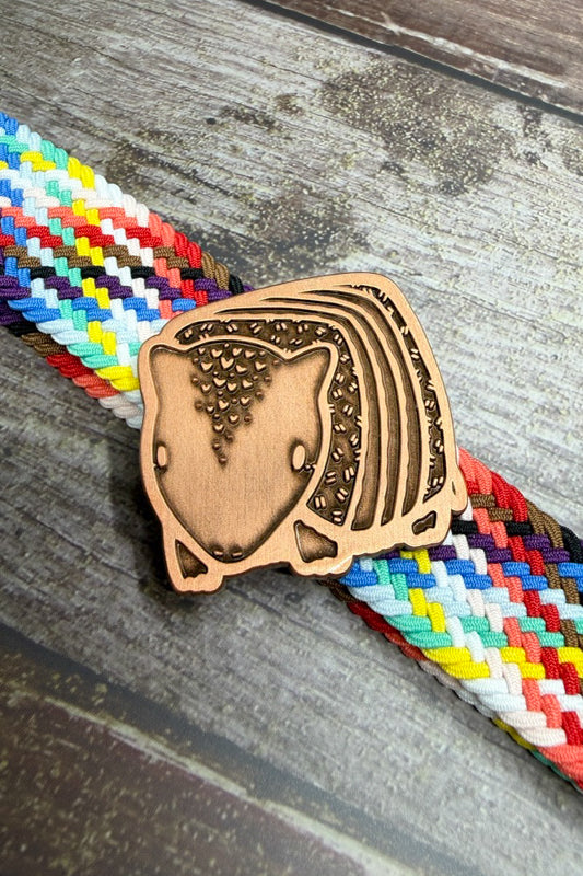Armadillo Pin