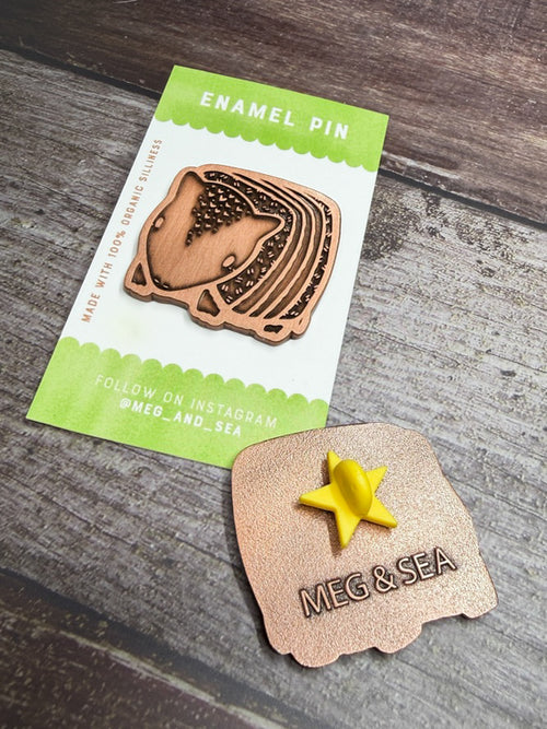 Armadillo Pin
