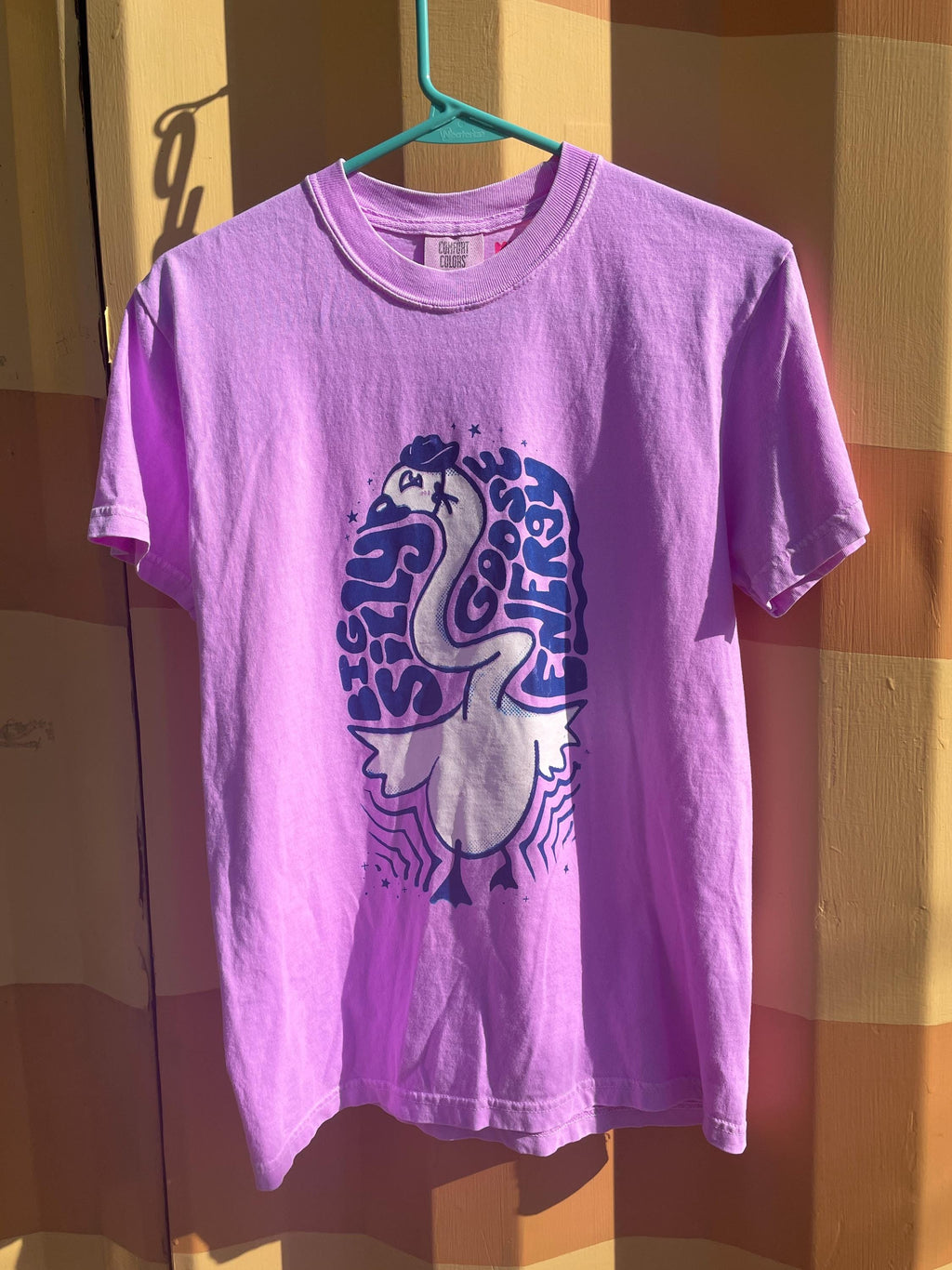 Big Silly Goose Energy T-Shirt