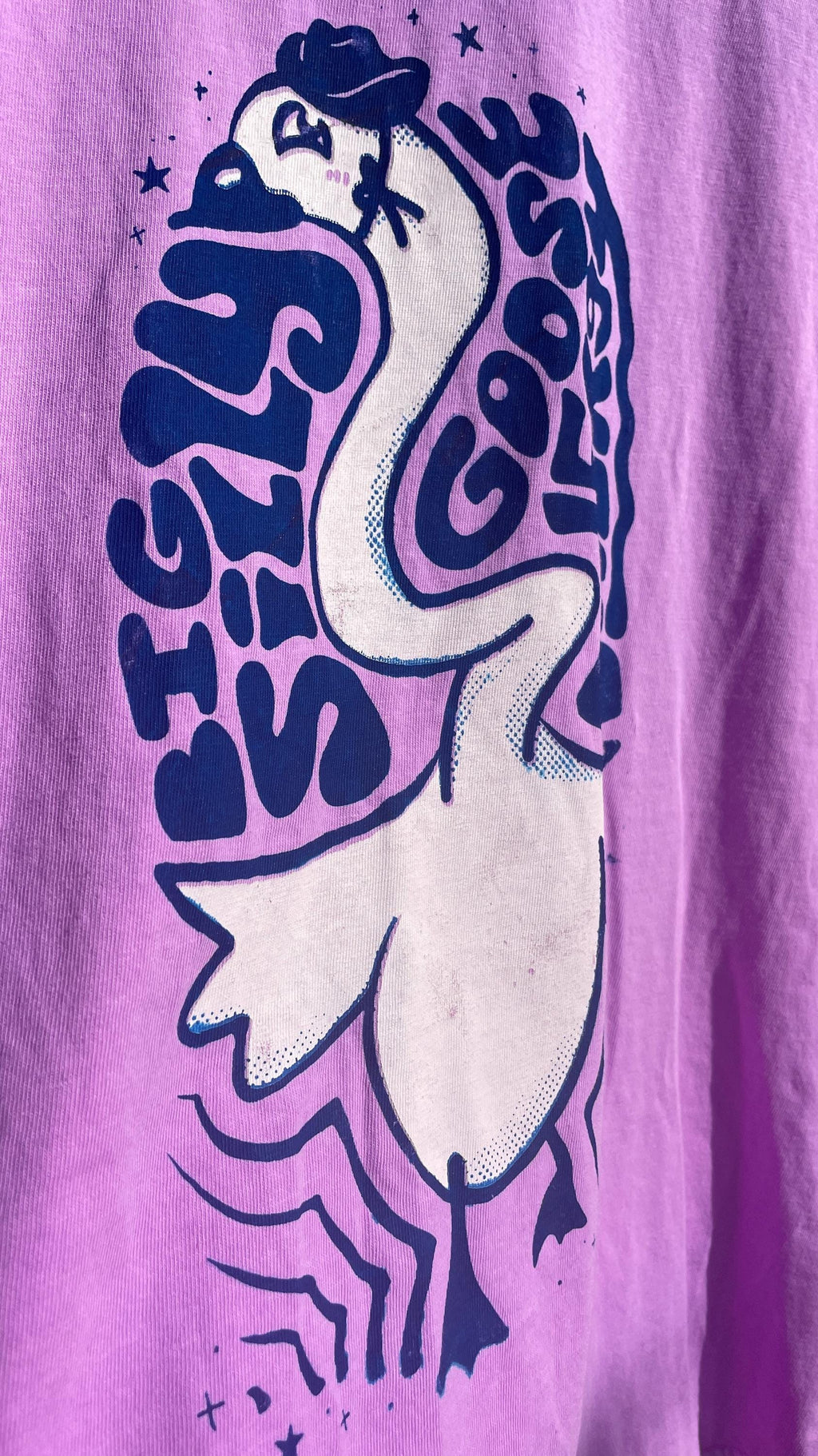Big Silly Goose Energy T-Shirt