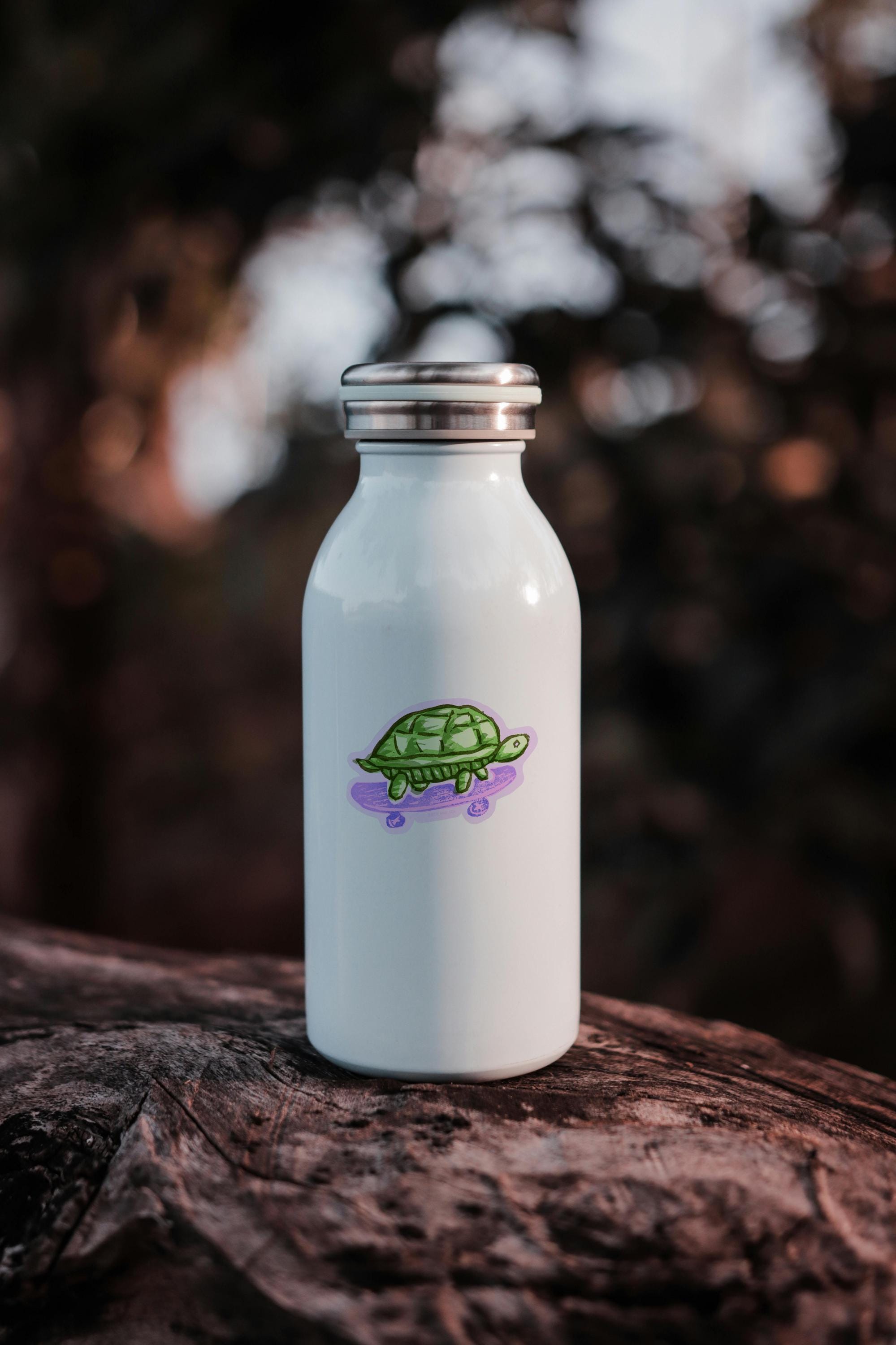 Skateboard Turtle Vinyl Sticker