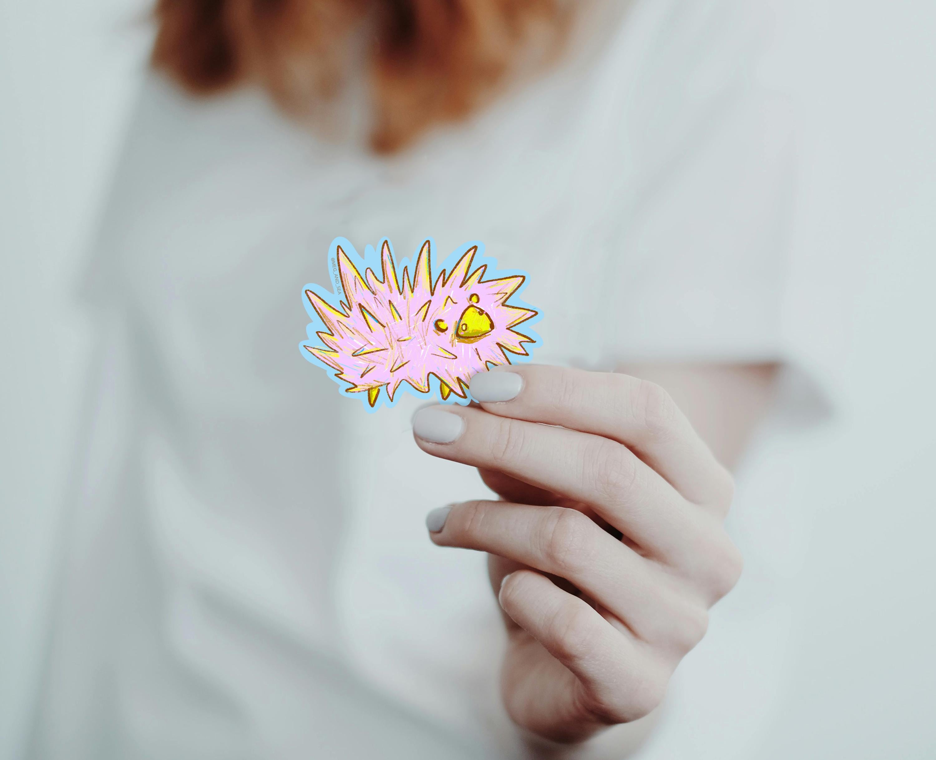 Silly Hedgehog Vinyl Sticker