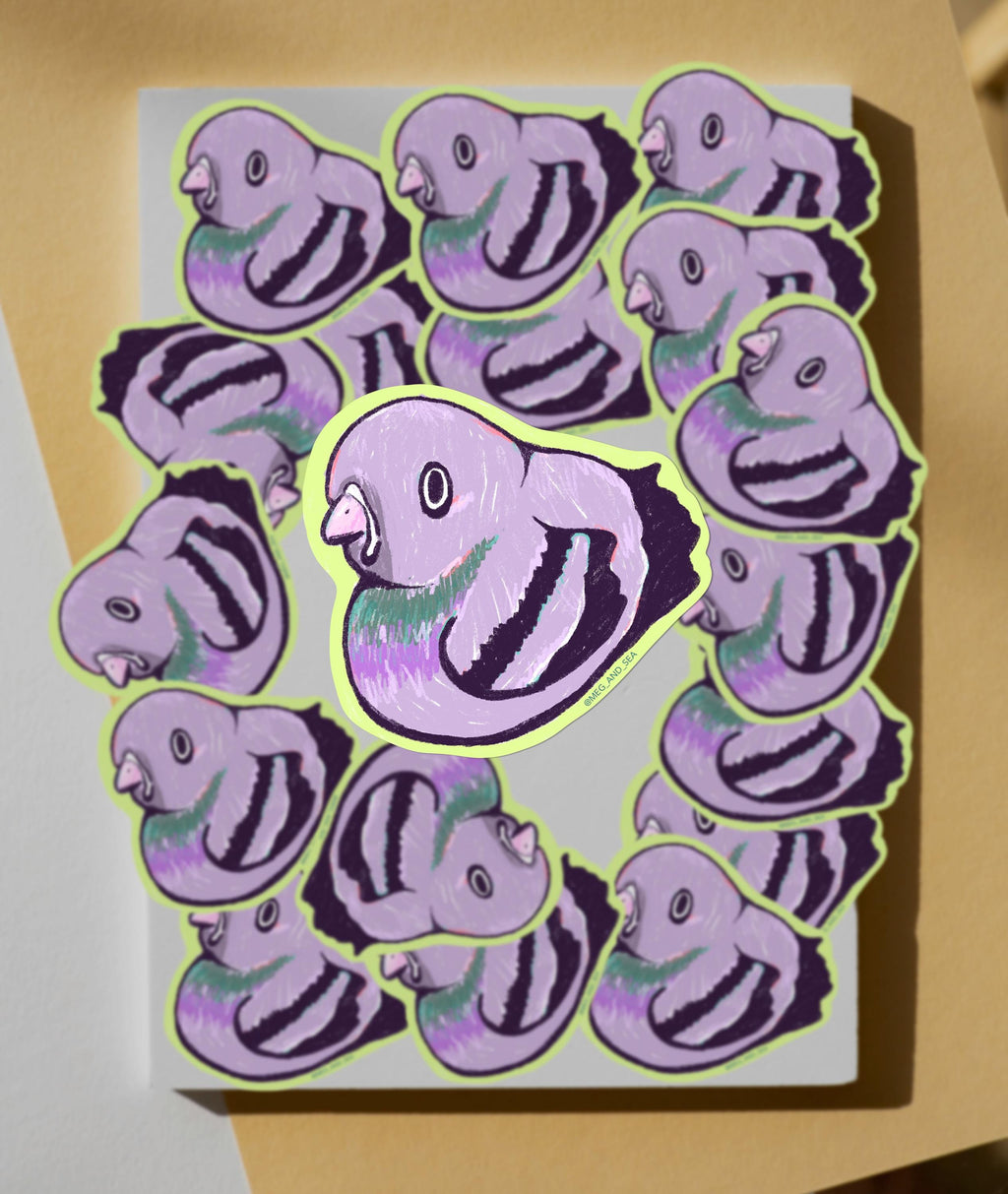 Silly Pigeon Vinyl Sticker