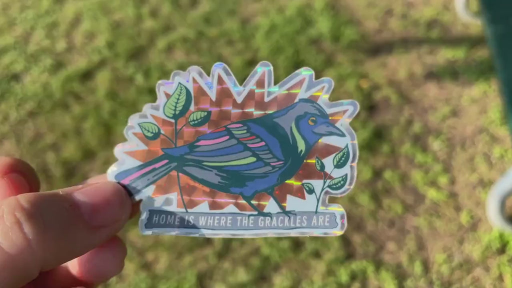Home is Where The Grackles Are - Vinyl sticker